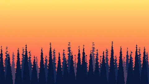 Dense forest pattern sunset on the orange-yellow sky background, vector conif Stock Illustration