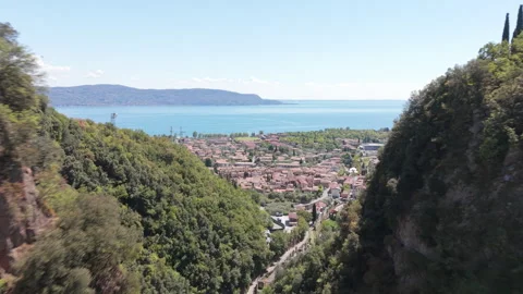 Dense Forest Ravine and Steep Mountains, Valley Aerial Shot Stock Footage 343683050