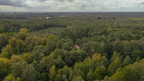 Dense Forest with Red Roofed Building in Nowy Lubiel, Poland Stock Photos