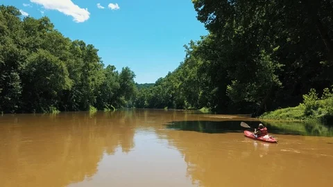 Dense Forest With River 01 Stock Footage 93214538