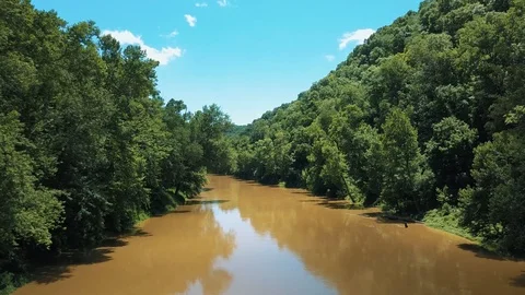 Dense Forest With River 04 Stock Footage 93214575
