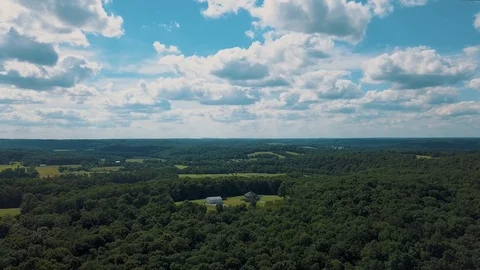 Dense Forest With River 05 Stock Footage 93214420
