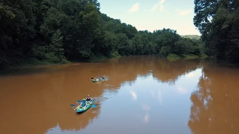 Dense Forest With River 08 Stock Footage 97714641