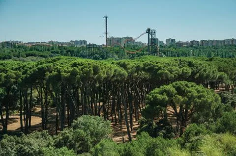 Dense forest with roller coaster in Amusement Park in Madrid Stock Photos