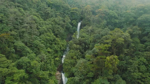Dense forest with a series of waterfalls cascading into a river in Costa Rica Stock Footage 345689830