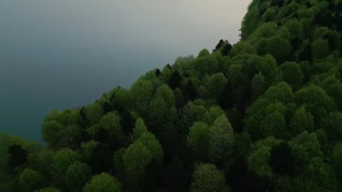 Dense forest on the shore of a mountain lake, flying over a lake, aerial view Stock Footage 274484809