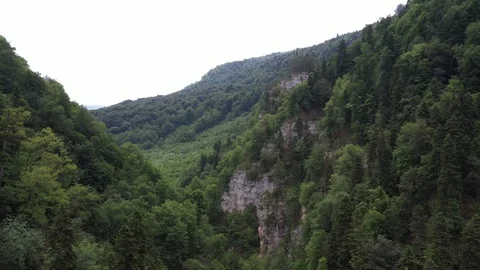 Dense forest on the slopes of the mountains, Mezmay, Russia Stock-Footage 116281201