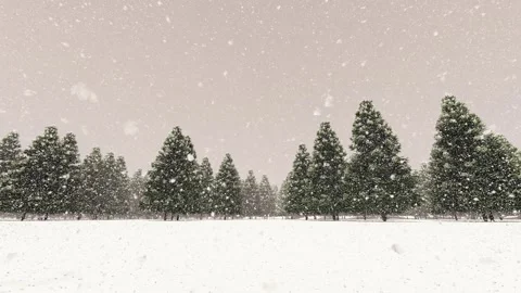 Dense forest snowing in winter Stock Footage 288291285