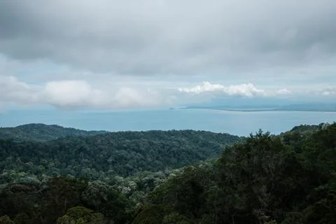 Dense forest stretches to meet distant ocean horizon Stock Photos