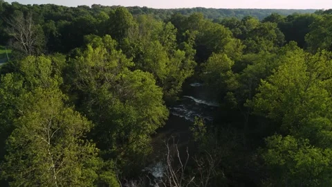 Dense Forest Surrounding City Lake and Shallow Rapids in Arkansas Stock Footage 340878050