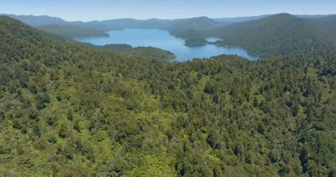 Dense forest surrounds a tranquil lake. Lake Waikaremoana, Te Urewera National Stock Footage 301410952