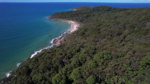 Dense Forest At Tea Tree Bay Beach In The Noosa National Park, Queensland Video stock 316822729