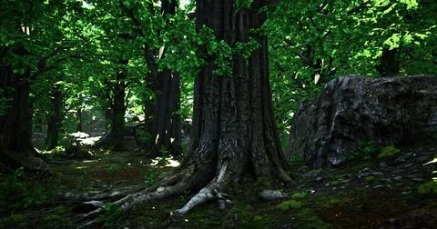 Dense forest with towering trees and lush green foliage in daylight Stock Illustration
