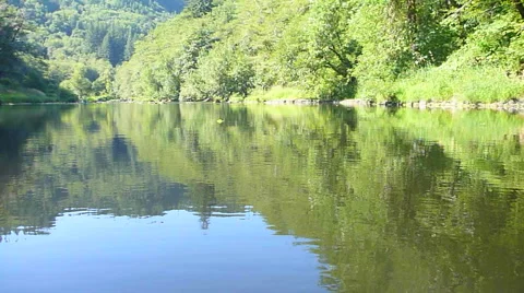 Dense Forest Valley River Video stock 40443382