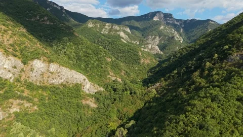 Dense Forest Vegetation on Mountain Slopes in Bachkovo Bulgaria 스톡 동영상 344762325