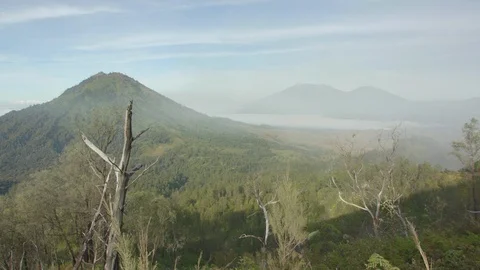 Dense forested area at the foot of a huge mountain 스톡 동영상 87145798
