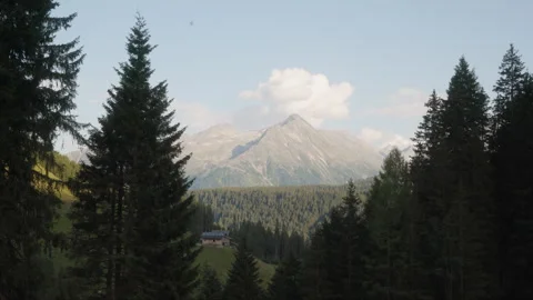 Dense forested area with mountains in the background, wide shot Stock Footage 307707221