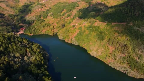Dense Forests And Vineyards In Belesar Village. Aerial Drone Shot Stock Footage 252830262