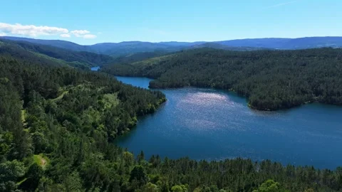 Dense Forests On The Reservoir Of River Vidéo 277746864