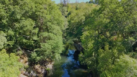 Dense Forests Through The Calm Deza River Stock Footage 339588227