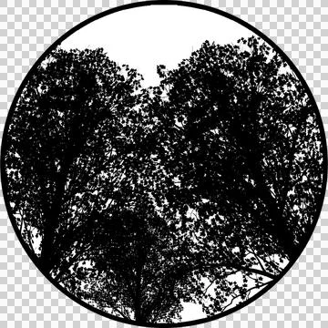 Dense Gobos Trees Branches Stock-Illustration