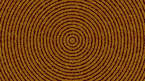 Dense Golden Brown Wavy Concentric Rings Loop Vidéo 334239669