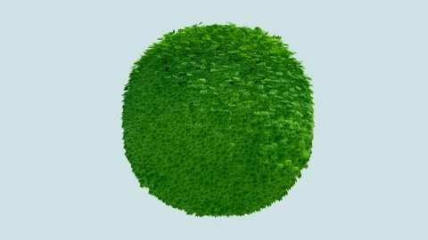 Dense Grass Texture Sphere Stock Footage 319884407
