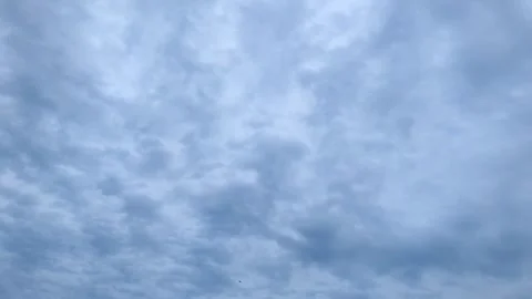 Dense gray clouds rush across the sky. Timelapse.  Stock Footage 328104990