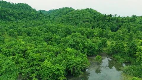 Dense green Atlantic Forest covers rolling hills and a small pond under an Stock Footage 322796897