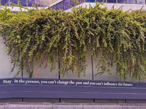 Dense green bushes cascading down a grey wall Stock Photos