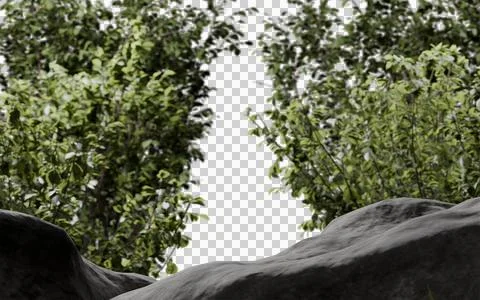 Dense green foliage frames a dark, mysterious opening, with rough grey rock Stock Illustration