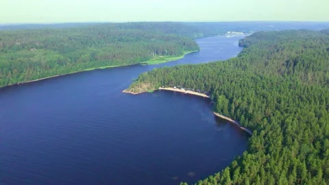 A dense green forest and a large blue lake.  Stock Footage 235531684