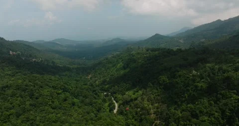 Dense green forest and winding road under cloudy sky. Ko Samui, Thailand. Stock Footage 311680264