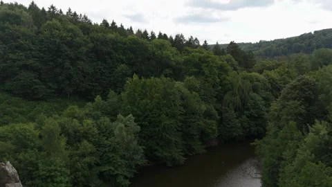 Dense Green Forest Canopy From Above In Germany 스톡 동영상 339367674