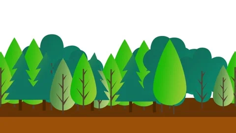 Dense Green Forest Stock Footage 335624389
