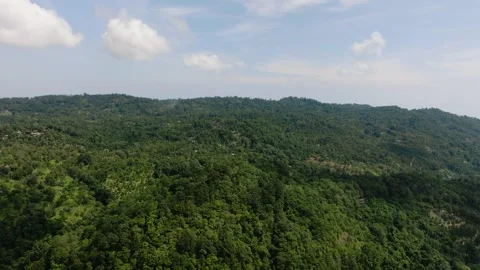Dense green forest hills under blue sky. Ko Samui, Thailand. Stock Footage 305129987