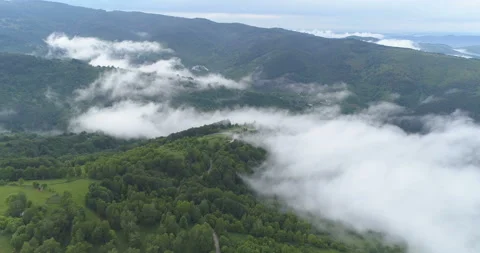 Dense green forest in the spring and winding mountain road covered with mist Stock Footage 131358086