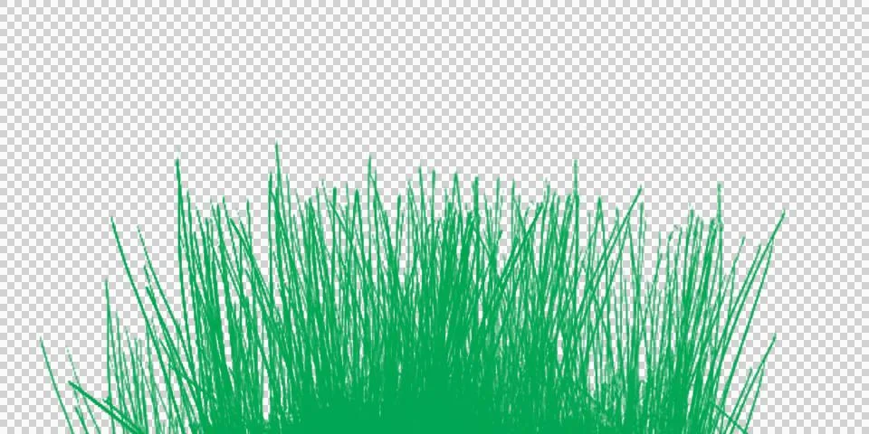 Dense green grass patch isolated on transparent background Stock Illustration
