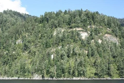 Dense green mixed forest on a steep rocky mountain slope near water Stock Photos