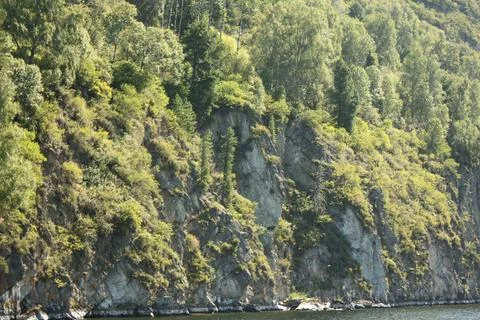 Dense green mixed forest on a steep rocky mountain slope near water Stock Photos