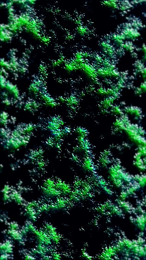 Dense green moss and tiny plants cover a textured surface. 库存影片 329765234