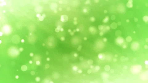 Dense green pine forest aerial view beside mountain lake Видео 331767038
