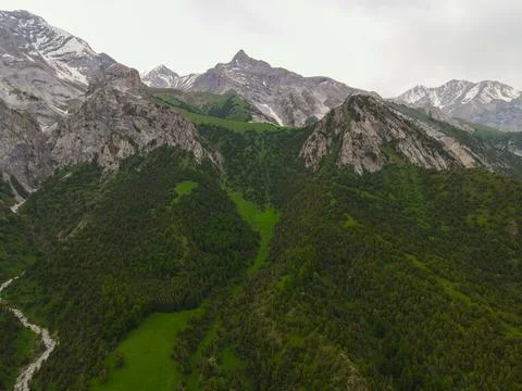Dense green pine forest on massive mountain range 스톡 사진