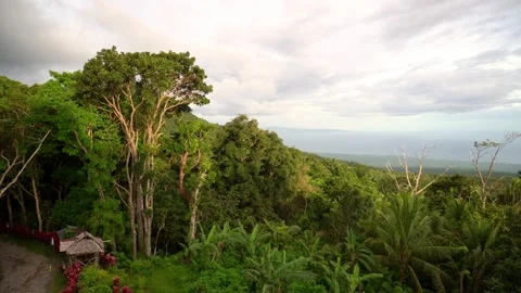 Dense green rainforest, jungle, thick clouds, high in the mountains, sea and Stock-Footage 260187133