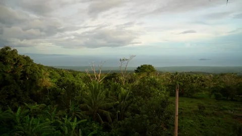 Dense green rainforest, jungle, thick clouds, high in the mountains, sea and Stock Footage 260187188