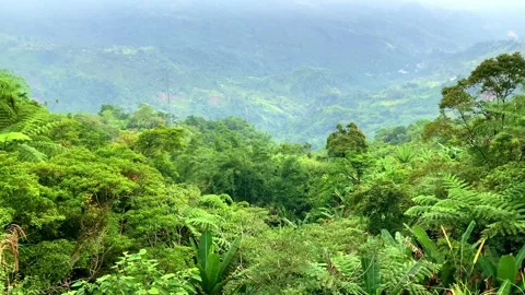 Dense green rainforests high in the mountains, a view of the settlement, the Stock Footage 245489464