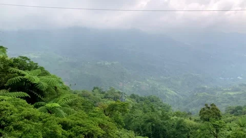 Dense green rainforests high in the mountains, a view of the settlement, the Stock Footage 245489494