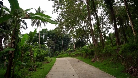 Dense green rainforests high in the mountains, a view of the settlement, the Video stock 272506357