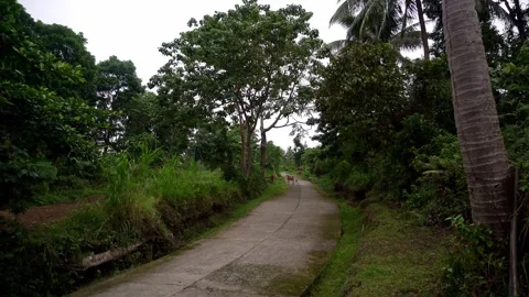 Dense green rainforests high in the mountains, a view of the settlement, the Stock Footage 272507510