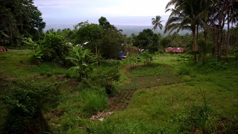 Dense green rainforests high in the mountains, a view of the settlement, the Stockbeeldmateriaal 272507708